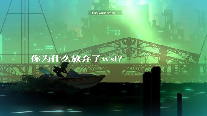 你为什么放弃了wsl？