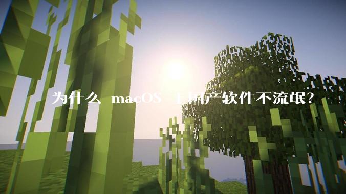 为什么 macOS 上国产软件不流氓？