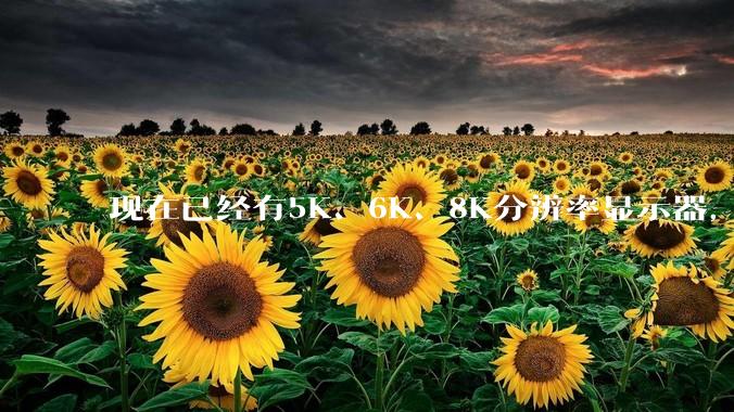 现在已经有5K、6K、8K分辨率显示器，那么8K之后是什么？