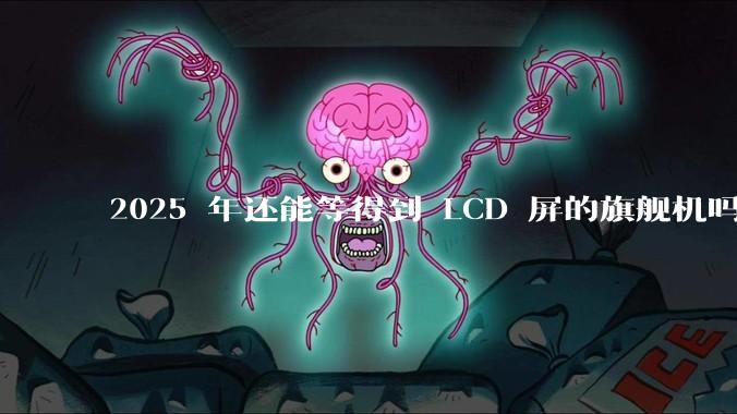 2025 年还能等得到 LCD 屏的旗舰机吗？