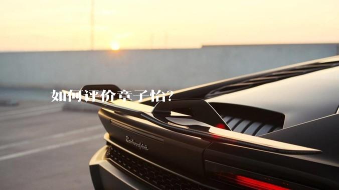 如何评价章子怡？