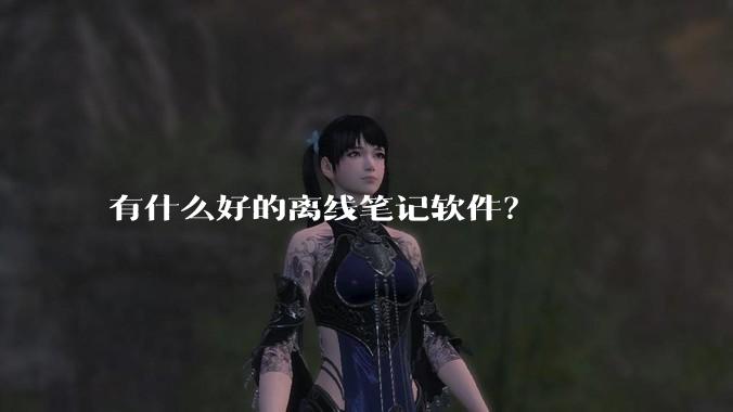 有什么好的离线笔记软件？