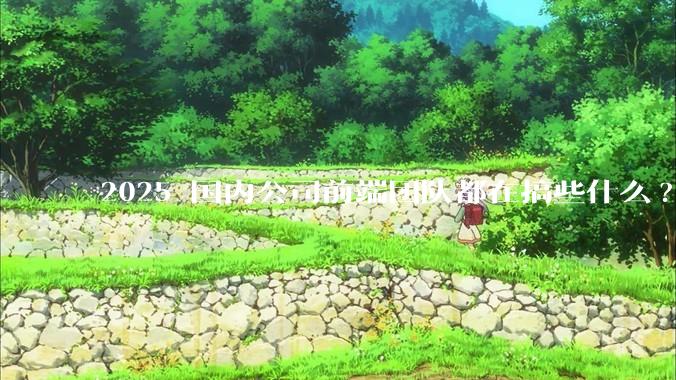 2025 国内公司前端团队都在搞些什么?