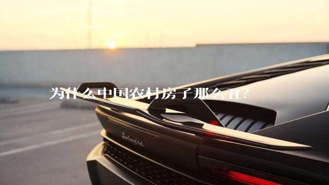 为什么中国农村房子那么丑？
