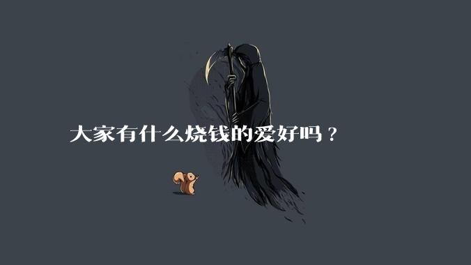 大家有什么烧钱的爱好吗?