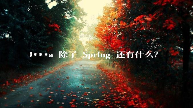 J***a 除了 Spring 还有什么？