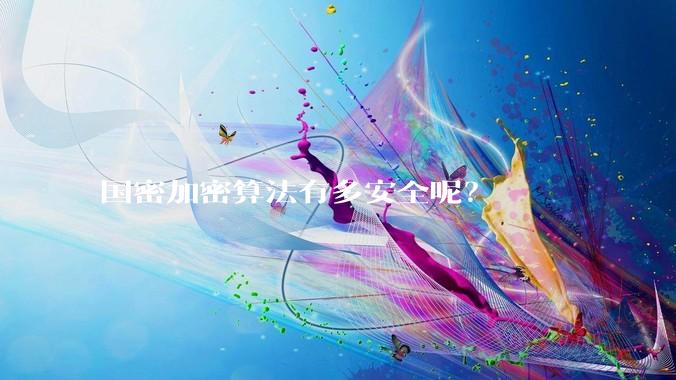 国密加密算法有多安全呢？